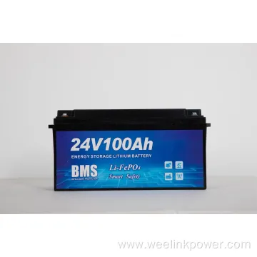High Efficiency Deep Cycle 24V100ah Battery with BMS